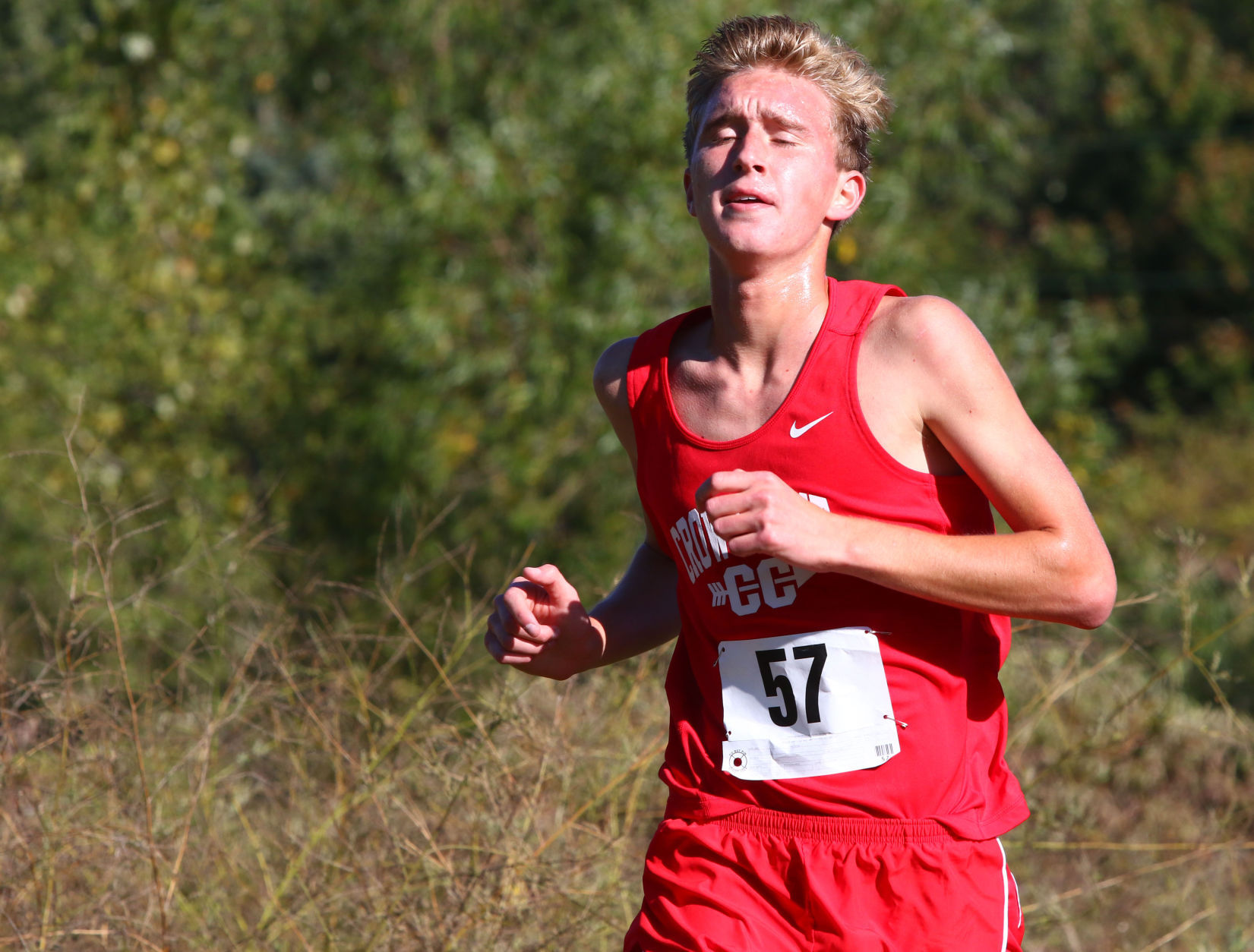 Gallery: Duneland Athletic Conference cross country meet